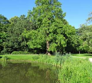Rundgang durch den Doctor Zamenhofpark