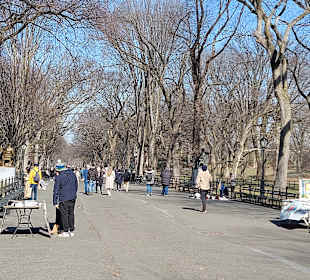 The Mall im Central Park 