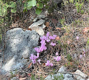 Wandern Göynük bei Kemer