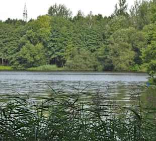Impressionen vom Rundweg um den Weichelsee
