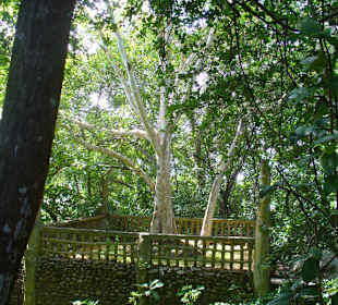 Nebenanlage kleiner Tempel