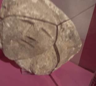 National Museum Of Archaeology