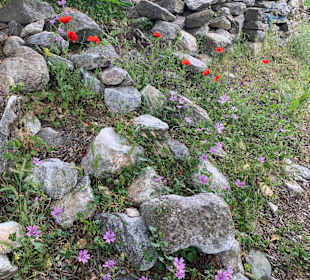 Wandern Skala Prinos