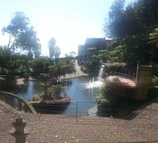 Jardim Tropical Garden Monte Palace