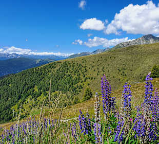 Wandern Rodengo / Rodeneck