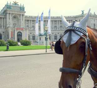 Wiener Hofburg