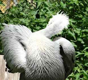 Rundgang im Tierpark