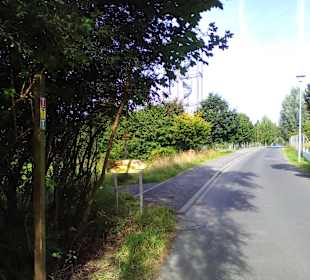 Der neue Wildpark in Bad Marienberg