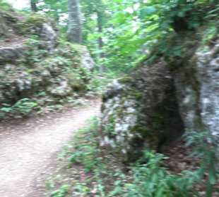 Burg Alt-Lichtenstein