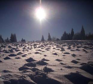 Impressionen Dezember 2012