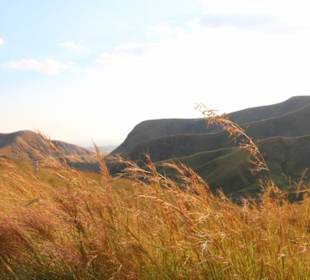 Wundervolle Landschaft