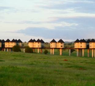 Saltlick Lodge im Abendlicht