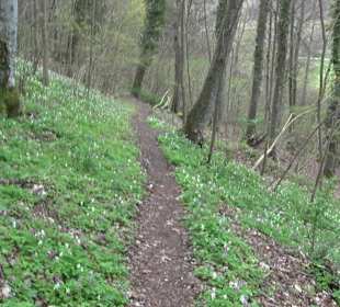 Wanderung rund um das Rusenschloss Gerhausen
