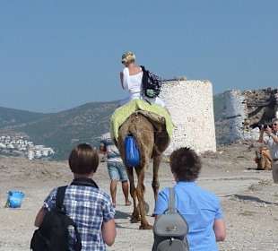 Bodrum
