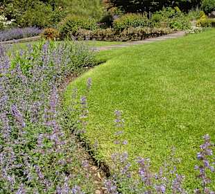 Birmingham Botanic Gardens