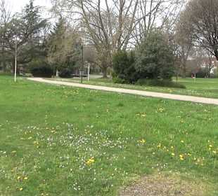 Bürgerpark Offenburg