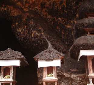 GOA LAWA Nahaufnahme