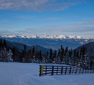 Direkt im Schigebiet Salzstiegl