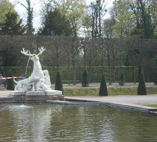 Schlossgarten Schwetzingen