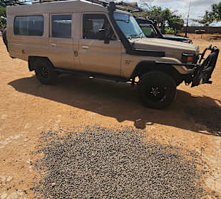 Julius Tact / JT Safaris