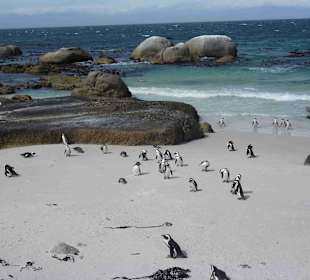 Boulders Beach