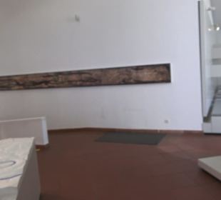 Rheinisches Landesmuseum 