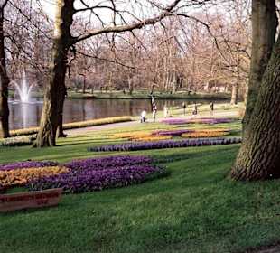 Blumenpracht im Keukenhof / Holland