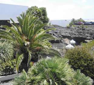 Fundacion Cesar Manrique Impression