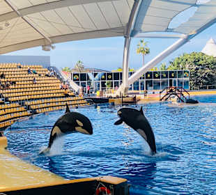 Loro Parque 