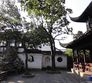 Вид на павильон в саду Львиная Роща