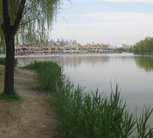 Chaoyang Park