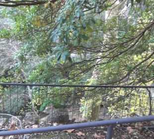 Aussenbereich - Bachlauf