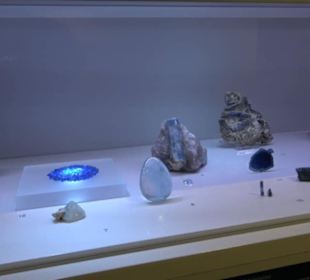 Museum Natur und Mensch