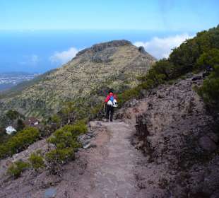 Am Pico Ruivo