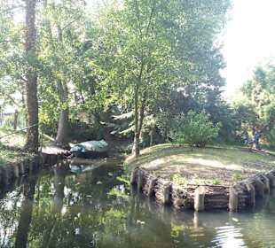 Großer Spreewaldhafen Lübbenau