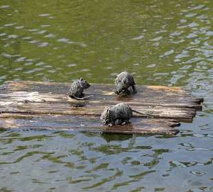 Belantis
