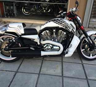 Harley Davidson V-Rod Muscle Diablo