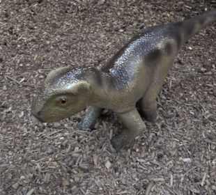 Dinosaurier Museum Altmühltal