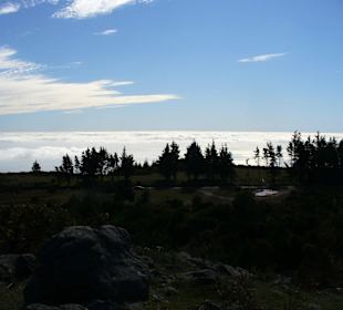 Blick v. Pico Cruzes auf Straße ER202 & Parkfläche