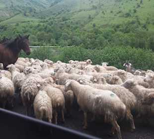 Gruzińska Droga Wojenna