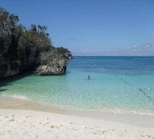 Abgetrennter Bereich mit schöner Unterwasserwelt