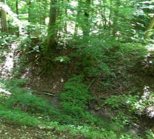 Mittlerer Gönninger See