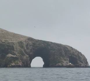 Ausflug Ballestas Inseln