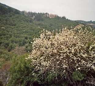 Blick auf Kloster von Agia Lavra