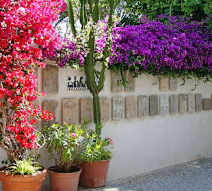 Altstadt-Impressionen