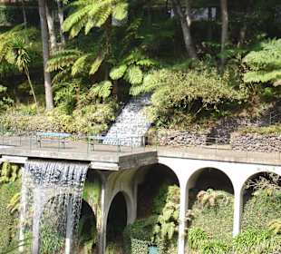 Madeira Funchal Monte tropischer Garten