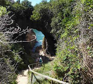 Aussichtspunkt Knysna