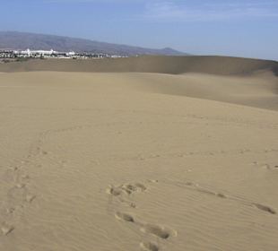 Dünen von Maspalomas
