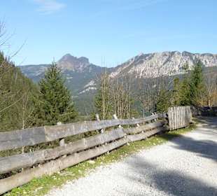 Weg zur Edenbachalpe