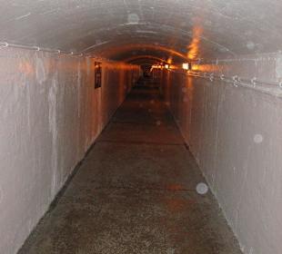 Tunnel hinter den Horseshoe Fall